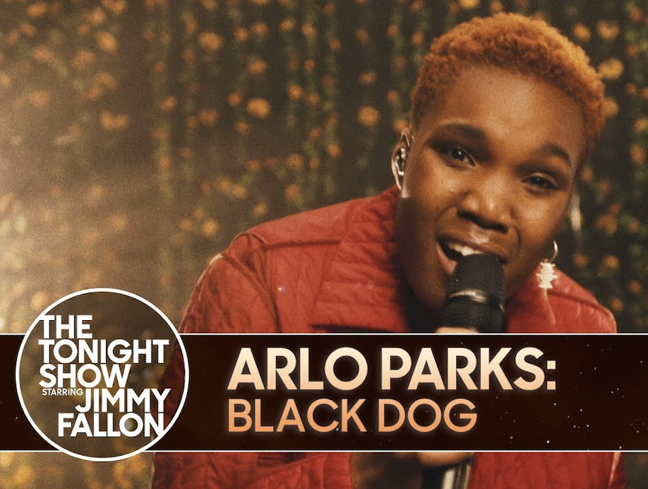 Arlo Parks - Jimmy Fallon Show